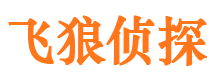 金平婚外情调查取证